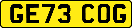 GE73COG