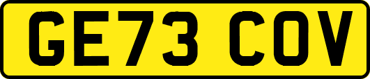 GE73COV