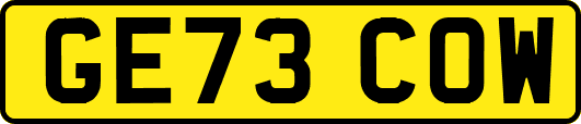 GE73COW