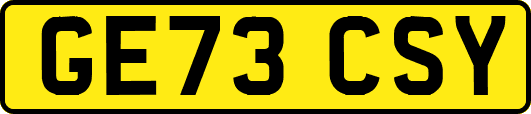 GE73CSY
