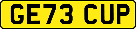 GE73CUP