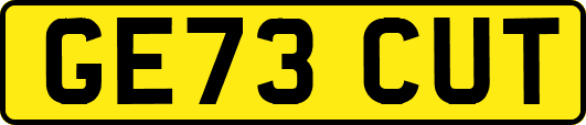GE73CUT