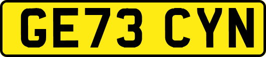 GE73CYN