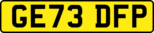 GE73DFP