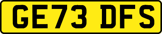 GE73DFS