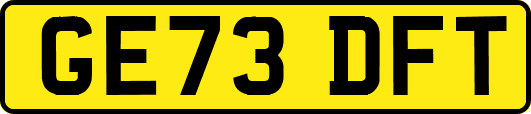 GE73DFT