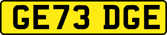 GE73DGE