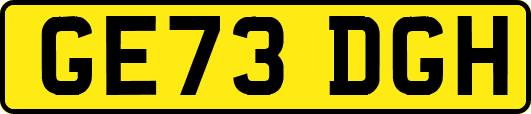GE73DGH