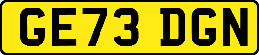 GE73DGN