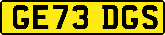 GE73DGS
