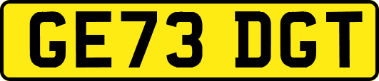 GE73DGT