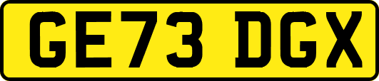 GE73DGX