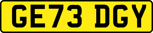 GE73DGY