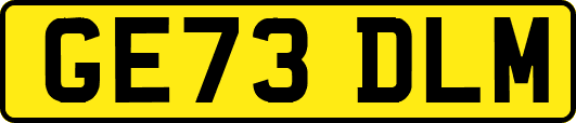 GE73DLM