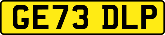GE73DLP