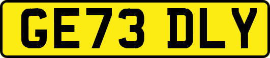 GE73DLY