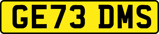GE73DMS
