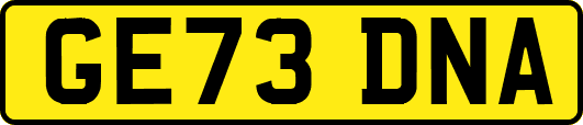 GE73DNA