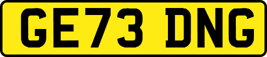 GE73DNG