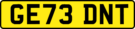 GE73DNT
