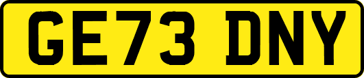 GE73DNY