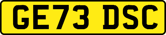 GE73DSC