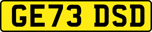GE73DSD