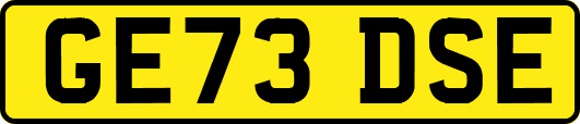 GE73DSE