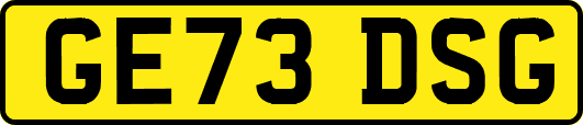 GE73DSG