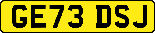 GE73DSJ
