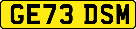 GE73DSM