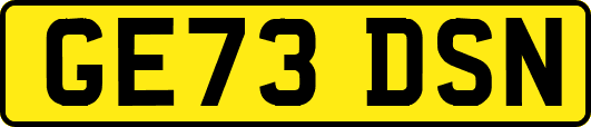 GE73DSN