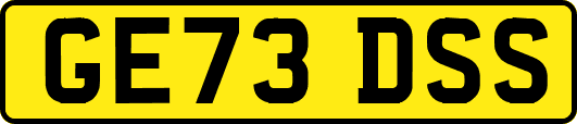 GE73DSS
