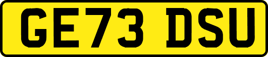 GE73DSU