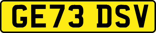 GE73DSV