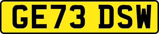 GE73DSW