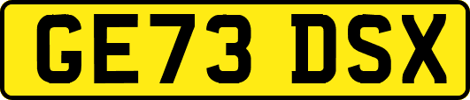 GE73DSX