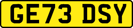 GE73DSY