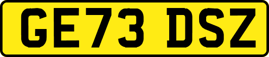 GE73DSZ
