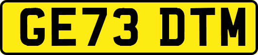 GE73DTM