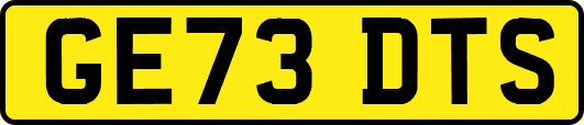 GE73DTS