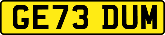 GE73DUM