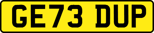 GE73DUP