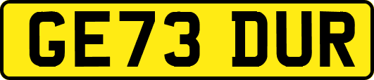GE73DUR