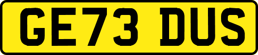 GE73DUS