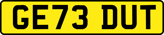 GE73DUT