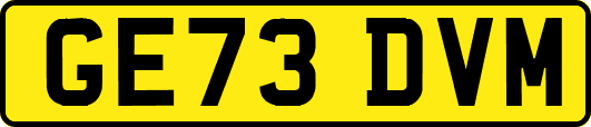 GE73DVM