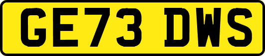 GE73DWS