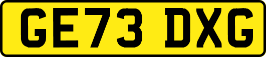 GE73DXG
