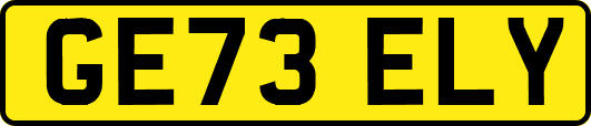 GE73ELY